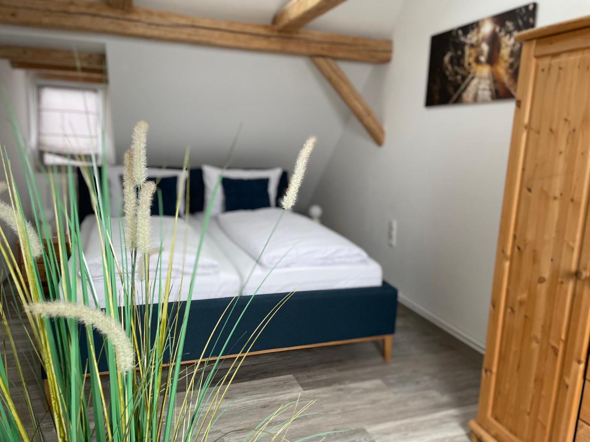 Ferienwohnung Hohensee 1.Og Clausthal-Zellerfeld Esterno foto